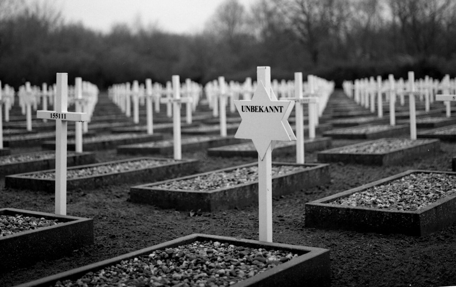 Gräber auf der Gedenkstätte Feldscheune Isenschnibbe in Gardelegen