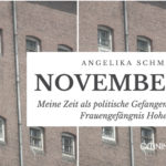 Buchbetrachtung: November von Angelika Schmidt