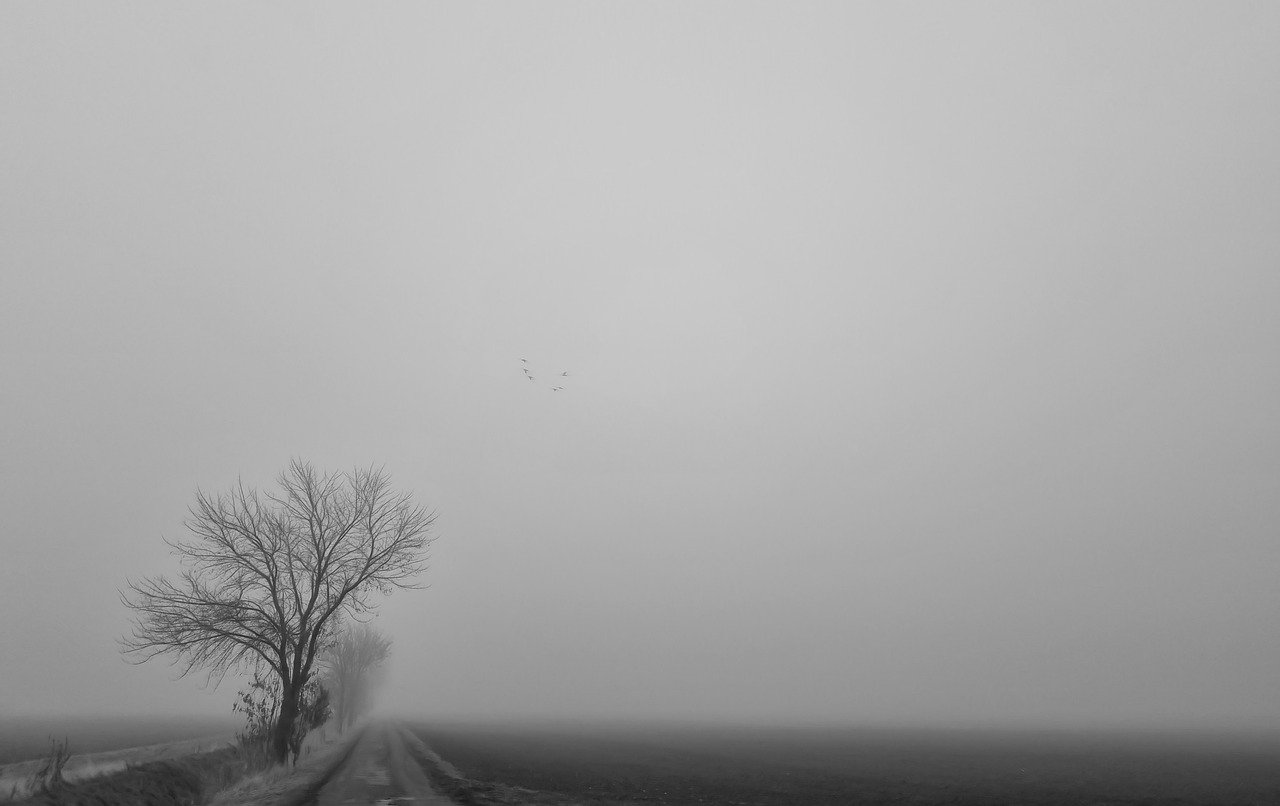 Ein Nebenfoto, nur im unteren Bereich kann man etwa Feld erkennen, ein Weg und ein Baum auf der linken Seite - sonst nichts.